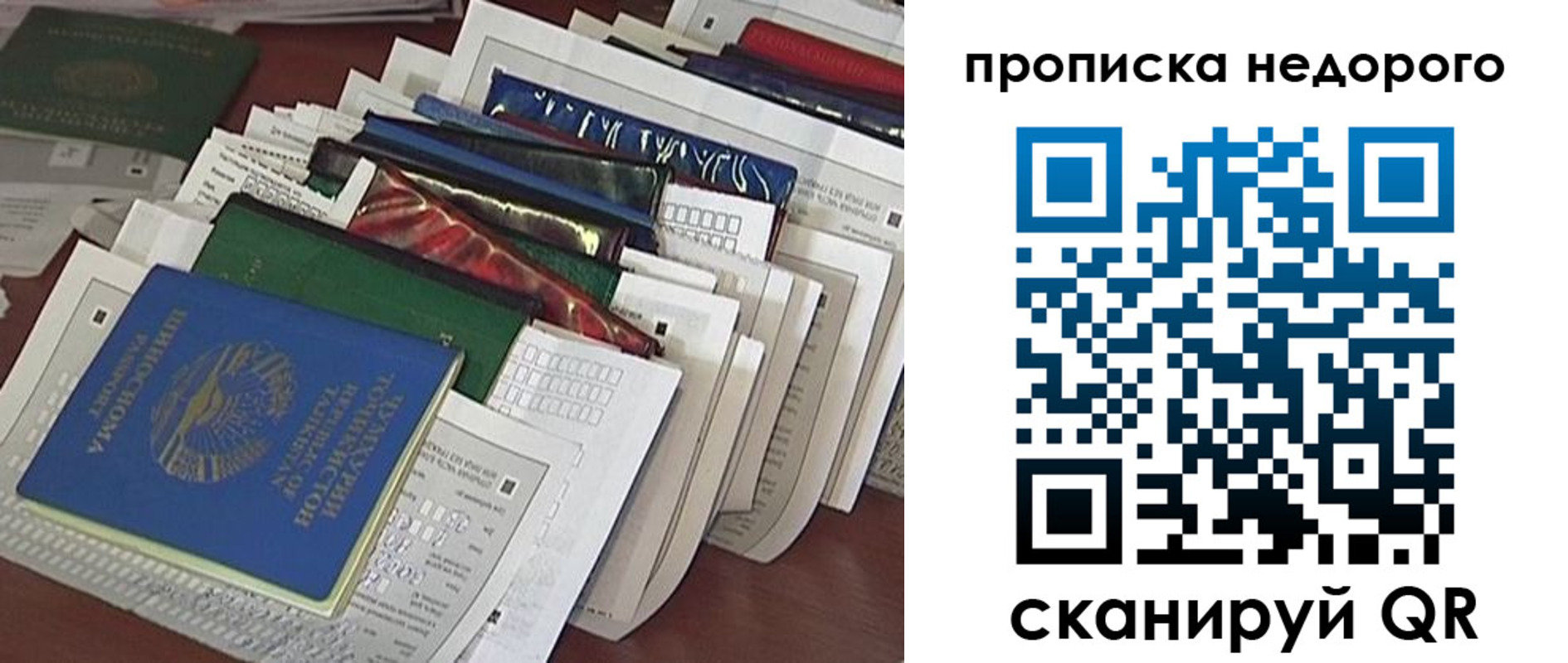 прописка гарантия в Камызяке